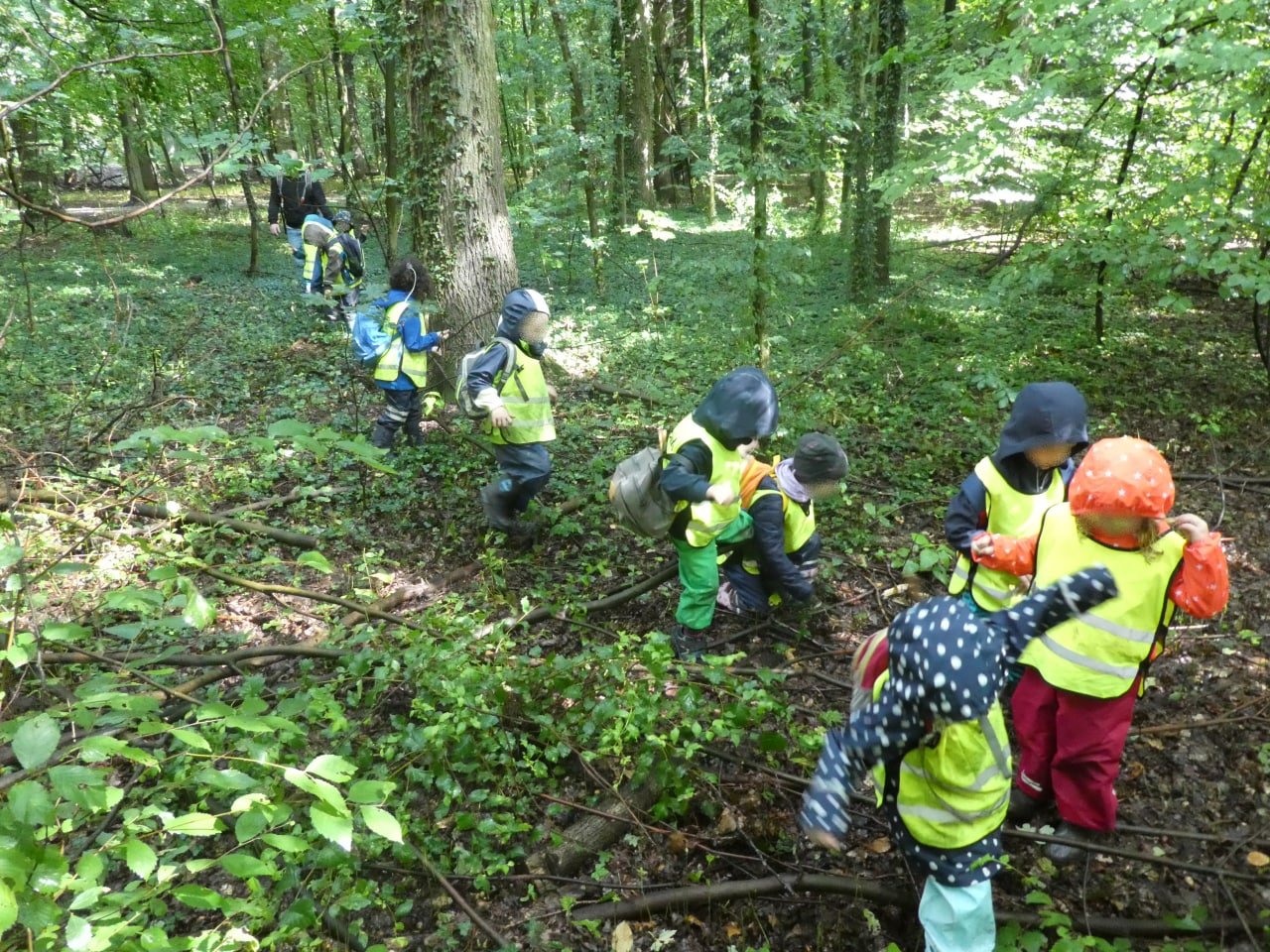 Kinder erkunden gemeinsam den Wald