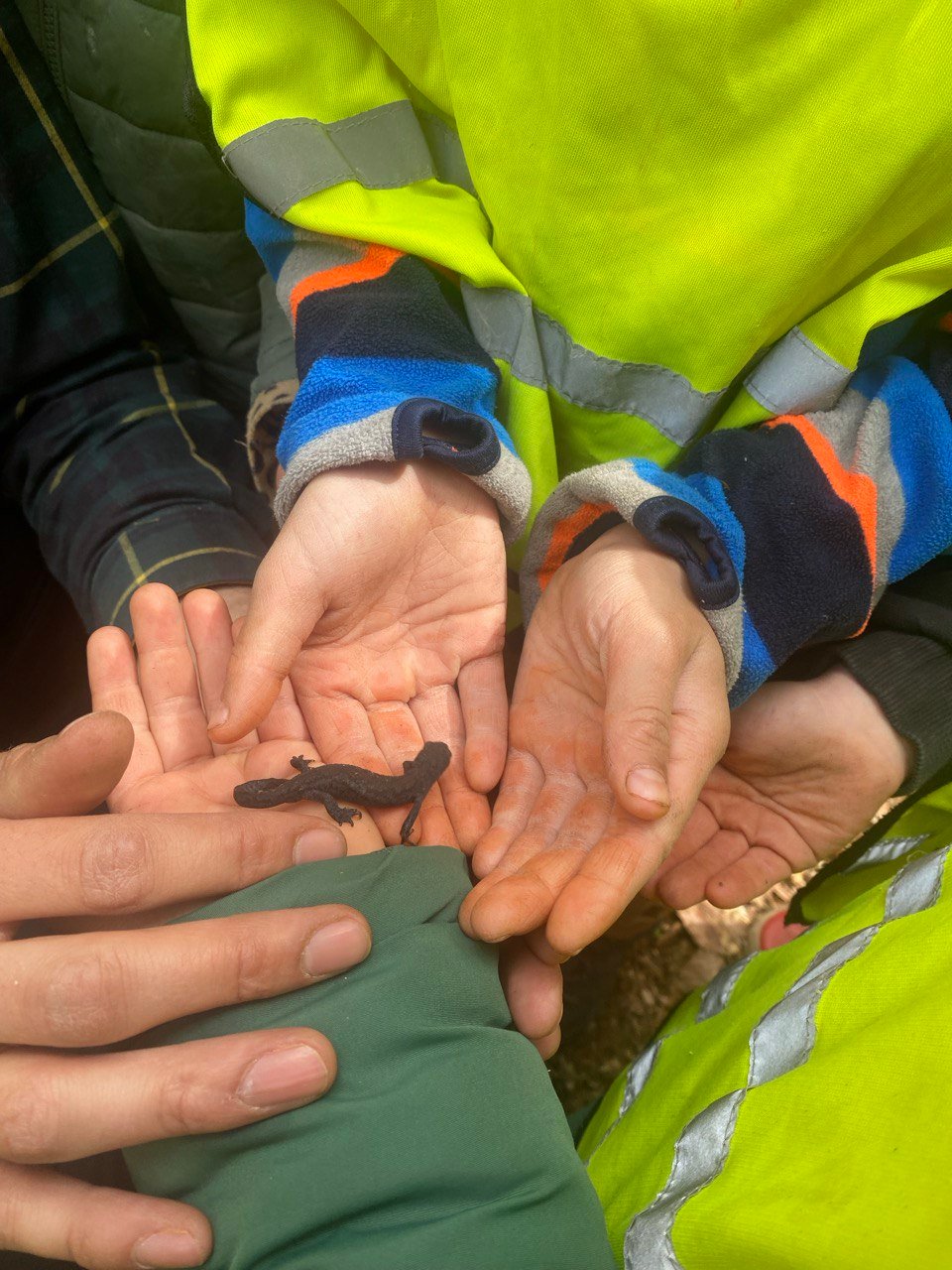 Naturpädagogische Aktivität mit Kindern